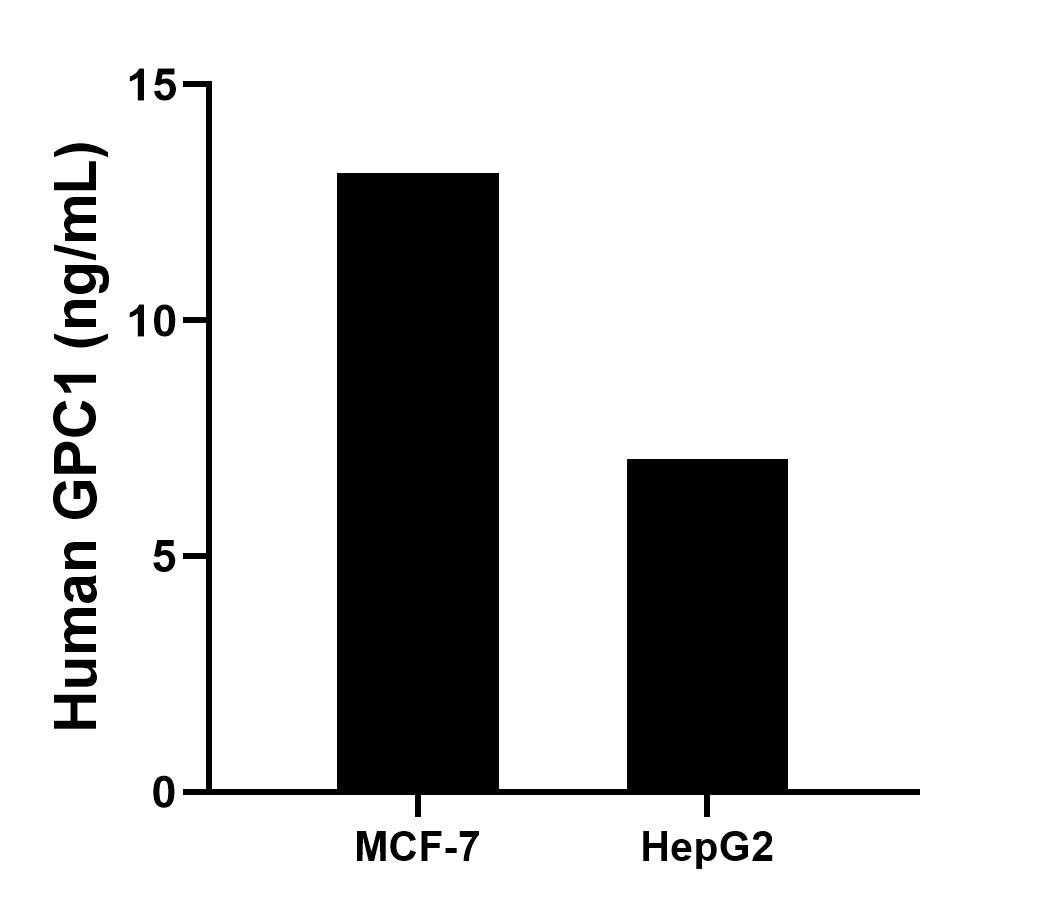 Sample test of MP00342-2